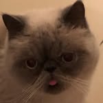 Ludwig - @ludwig.leckbrett - Instagram