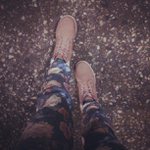 Brett Lutz - @exoengyco - Instagram