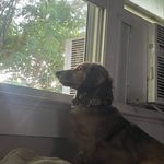 Brett McBride - @yuhboibrett - Instagram