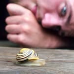 Brett Mello - @melloguy345 - Instagram