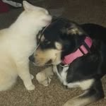 Brett Libertine-Meyer - @libertinemeyer - Instagram