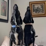 Elizabeth Brett Stewart-Miranda - @estewartmiranda - Instagram