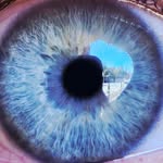 Brett Mitchell - @brett.mitchell.710 - Instagram