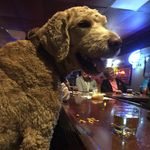 Brett Nowak - @mastablasta68 - Instagram