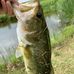 Brett Poole - Facebook