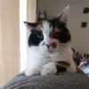 Brett Quickel - @brett.quickel - TikTok