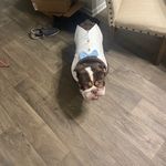 Brett quigley - @quigley.brett - Instagram