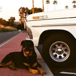 Brett Quinlan - @mackquinphoto - Instagram