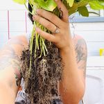 megan the homemaker 🌿 - @brettrager_mama - Instagram