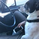 Brett Ralph - @ralph_brett - Instagram
