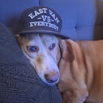 Brett Ray - @baggerbrett - Instagram