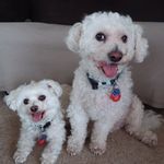 Brett Read - @brett.read - Instagram
