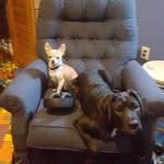 Brett Rector - @brettrector - Instagram