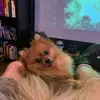 Brett Reece885 - @rbrettreece - TikTok