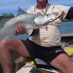 Brett Reece - @brett.reece.9 - Instagram