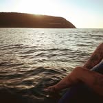Brett - @brettrees.h6v - Instagram