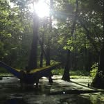 Brett Harken - @bretticus_rex - Instagram