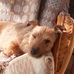 Brett Rigby - Facebook