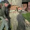 AllWood - @brettringo6 - TikTok