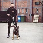 Brett Ryan - @brettross91 - Instagram