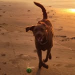 Brett Schaefer - @brettsch63 - Instagram