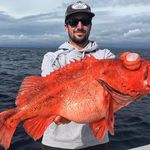 Brett Schaefer - @brettgofish22 - Instagram