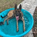 Brett Self - @brett_self - Instagram