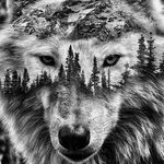 Brett clay shaver - @brett.shaver.184 - Instagram