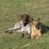 Brett Spencer - @brett.spencer6 - TikTok