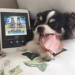 In Och Lyssna På EFTERBRALLA - @brett_sterling - Instagram