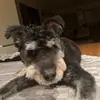 Brett Stern - @stern.brett - TikTok