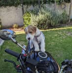 Brett Sutherland - Facebook