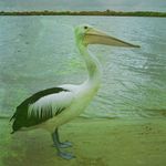 Brett Sutherland - @brett.sutherland.96 - Instagram