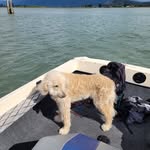 Brett Ticehurst - @brett.ticehurst - Instagram