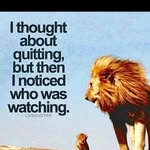 Brett Tracy - @chucktracy35 - Instagram