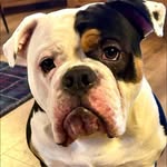 Brett Tracy Walker - @walkerbretttracy - Instagram