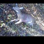 Brett Riley Vaughn - @brettvaughn54 - Instagram
