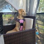 Brett Vaughn - @maggie_may_vaughn_sells - Instagram