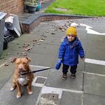 Brett Webb - @daddy_webb20198 - Instagram