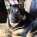 Brett Weimer - Facebook
