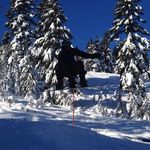 Brett Weiss - @brettweisss - Instagram