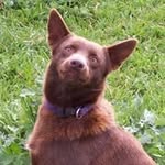 Brett Western - @westernbrett - Instagram