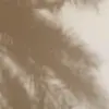 bri lewis - @brilewis1 - TikTok