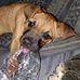 Bri Phillips - Facebook