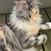 Bri Ross449 - @briross449 - TikTok