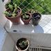 Bri Stevens - Facebook