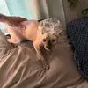 whosbriahill - @whosbriahill - TikTok