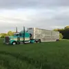 briansims1601 - @briansims1601 - TikTok