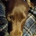 Bryan Achenbach - Facebook
