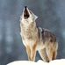 Bryan Affolter - Facebook
